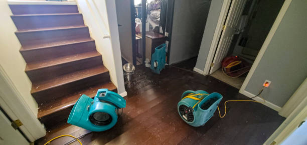 24/7 water damage repair in De Kal, TX