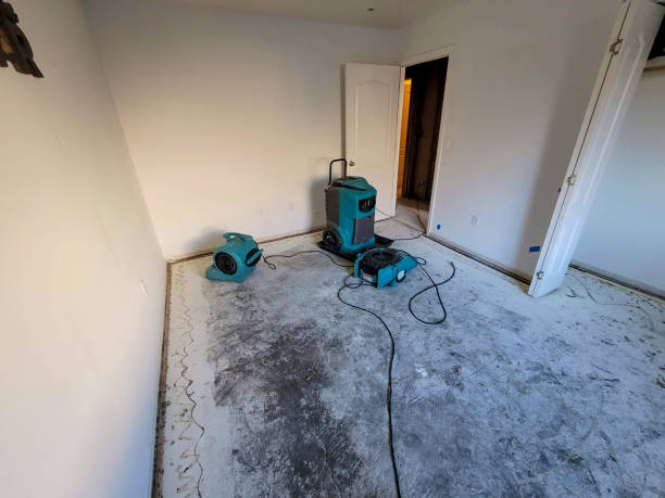 Best Local water damage restoration  in De Kal, TX