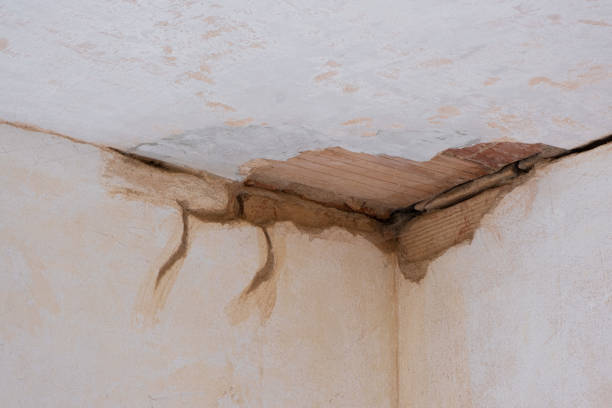 Best Sewage cleanup and water damage restoration  in De Kal, TX