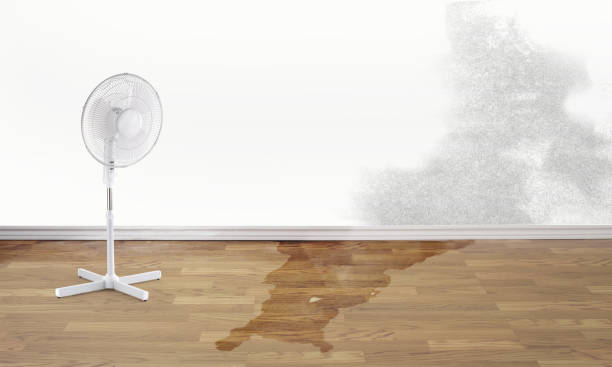 Best Emergency water damage restoration  in De Kal, TX