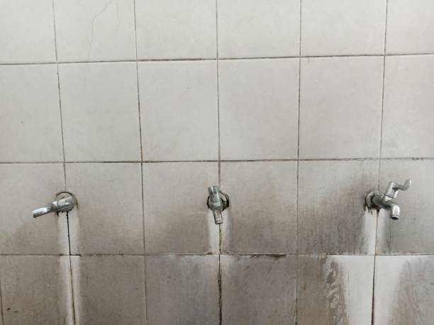 Best Professional water damage repair  in De Kal, TX