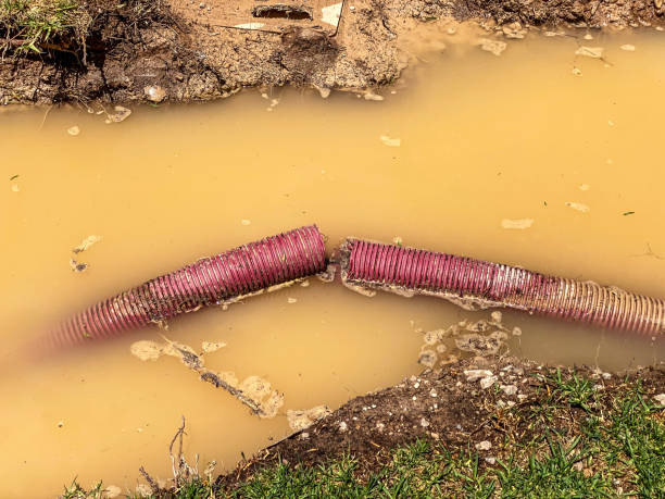 Best Basement water damage restoration  in De Kal, TX